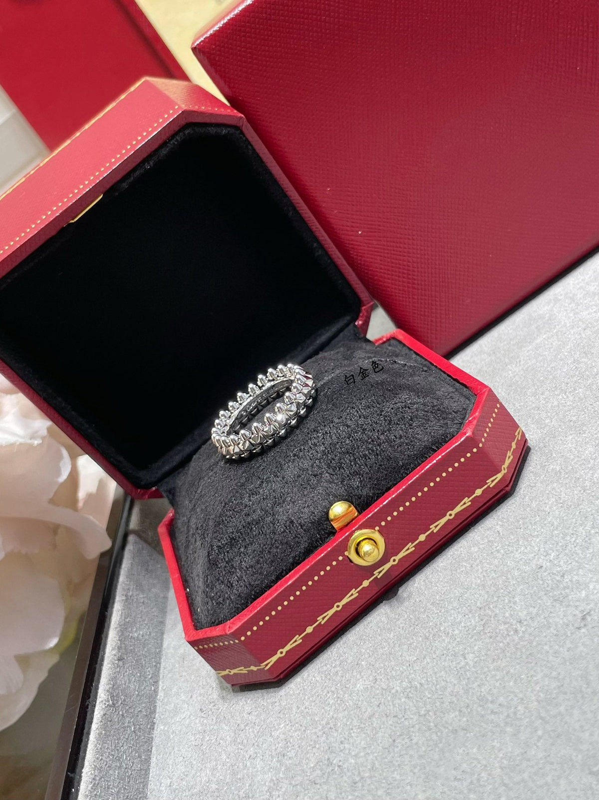 [⭐Renara]CLASH 5.5MM RING